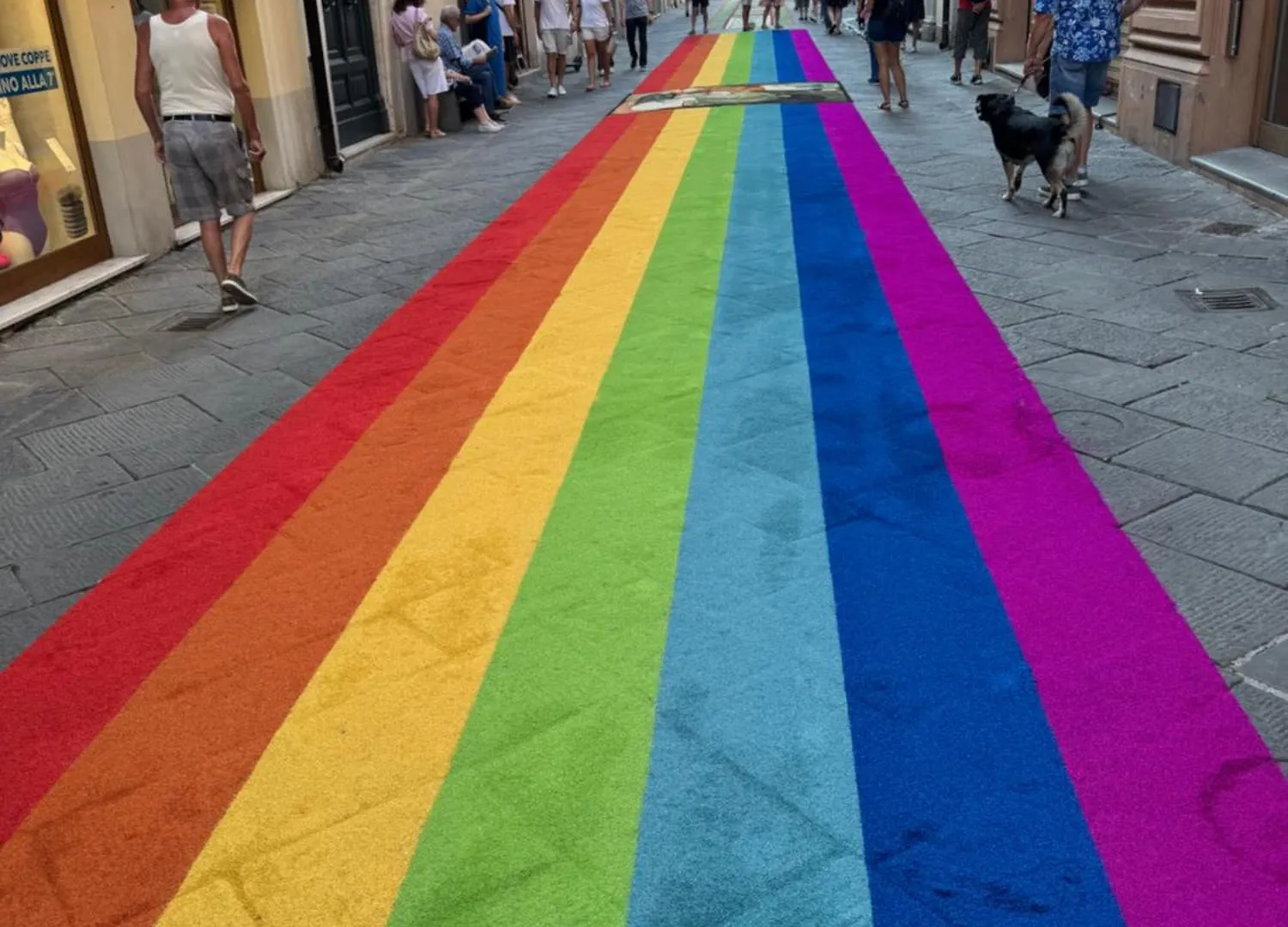 L'Arco E' Di Fio Apartman Camaiore